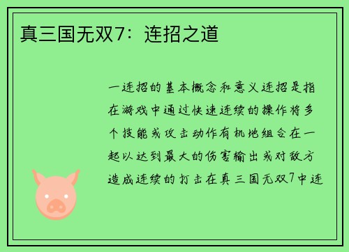 真三国无双7：连招之道